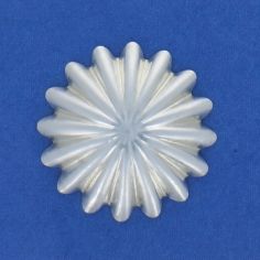 3/4" Concho
