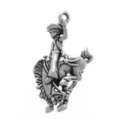 Bronco Rider
