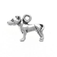 Pit Bull, Sm