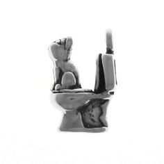 Cat Sitting on Toilet