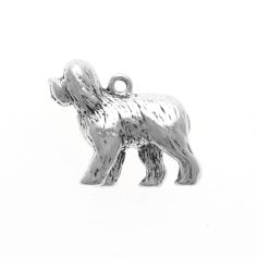 Sheep Dog