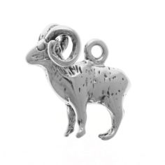 Big Horn Sheep