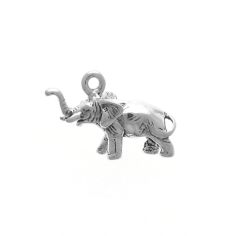 Elephant, Sm