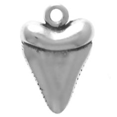 Shark Tooth