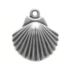 Sea Shell