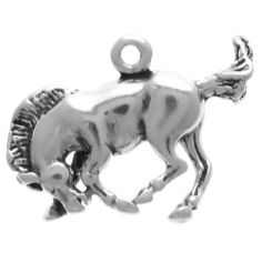 Bucking Bronco 