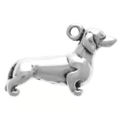 Dachshund