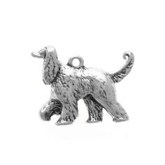Afghan Hound