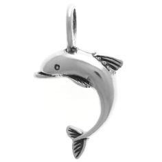 Dolphin, 3-D