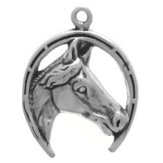 Horse Head in Horseshoe