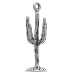 Saguaro Cactus, lg