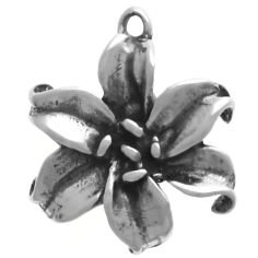 Flower Lily