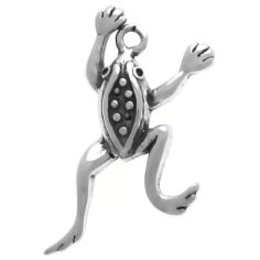 Frog Charm