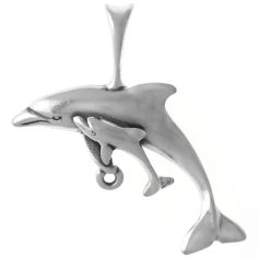 Dolphin with Calf