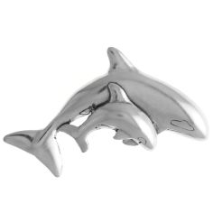 Killer Whale with Calf