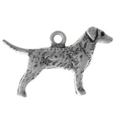 Retriever