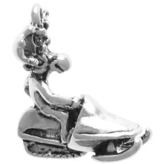 Moose on Snow Mobile