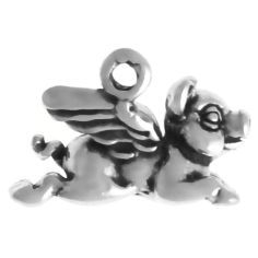 Flying Pig