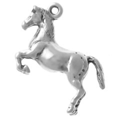 Appaloosa Horse