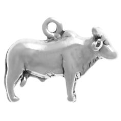 Brahma Bull