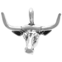 Longhorn Steer Head