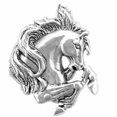 Stallion Head, Horse