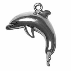 Dolphin Right