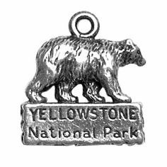 Yellowstone Bear