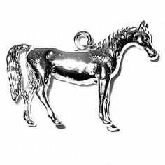 Arabian Horse Charm