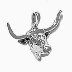 Longhorn Steer Head