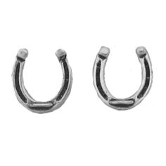 Horseshoe Earrings
